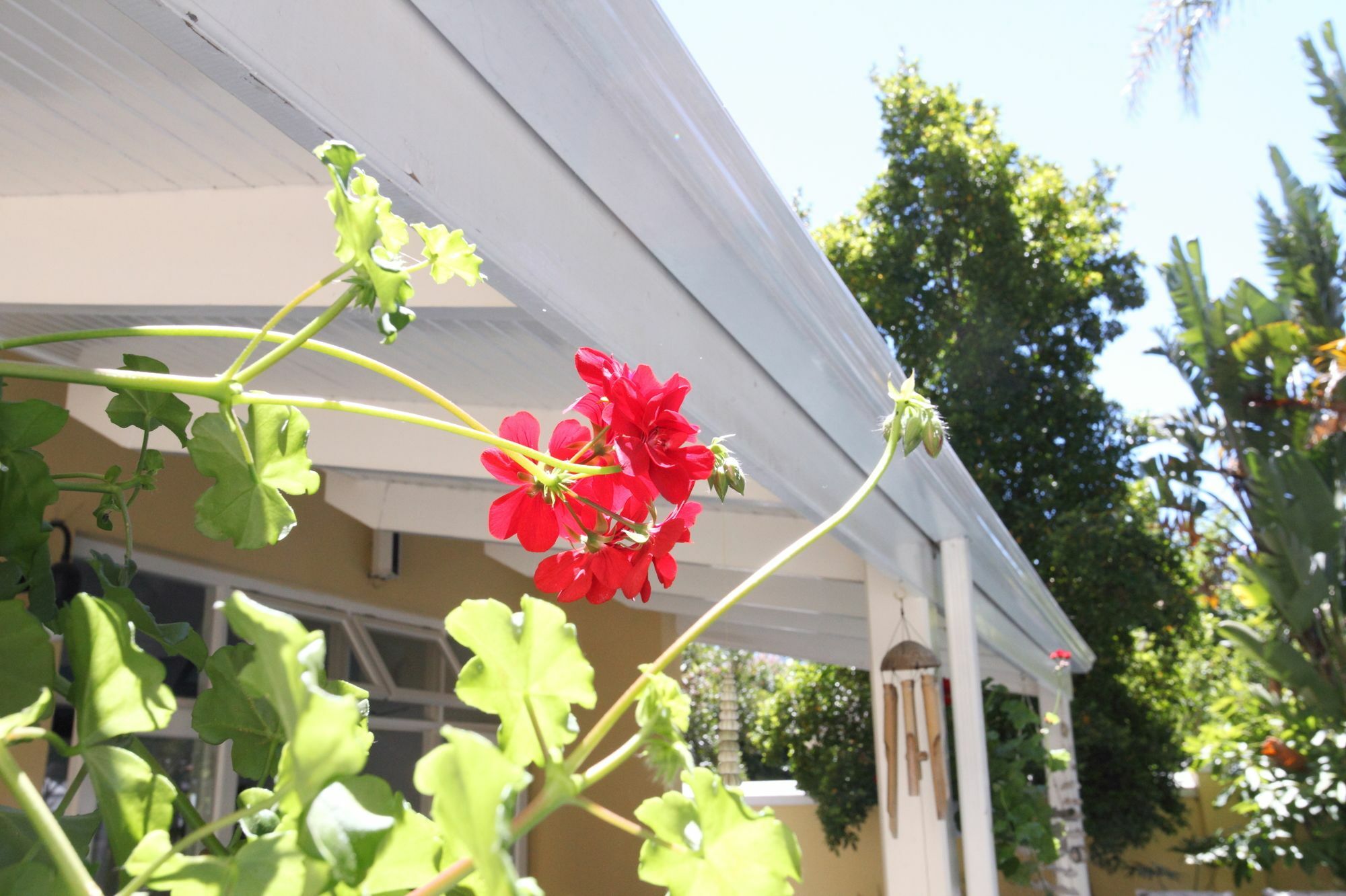 Hunneyball House Stellenbosch Exterior foto